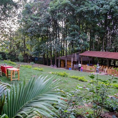 Africana Yard Kitale Exteriér fotografie